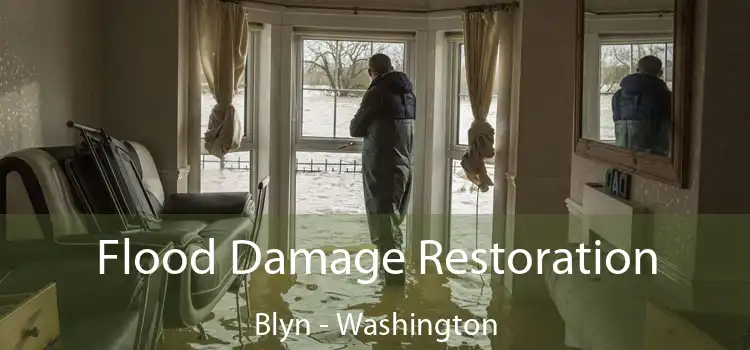 Flood Damage Restoration Blyn - Washington