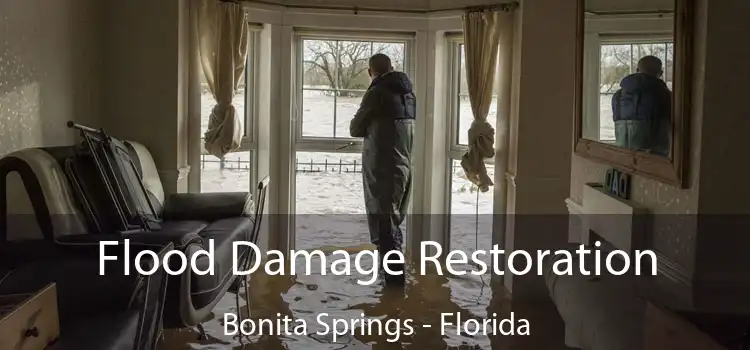 Flood Damage Restoration Bonita Springs - Florida