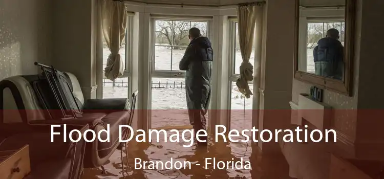 Flood Damage Restoration Brandon - Florida