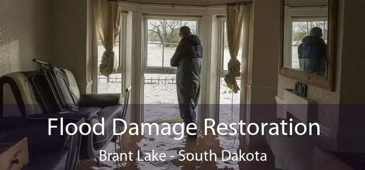 Flood Damage Restoration Brant Lake - South Dakota