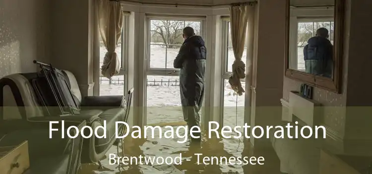 Flood Damage Restoration Brentwood - Tennessee