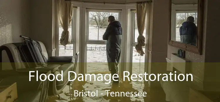 Flood Damage Restoration Bristol - Tennessee