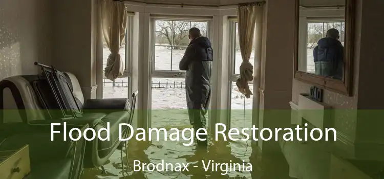 Flood Damage Restoration Brodnax - Virginia