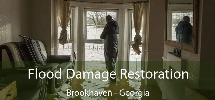 Flood Damage Restoration Brookhaven - Georgia