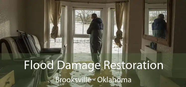 Flood Damage Restoration Brooksville - Oklahoma