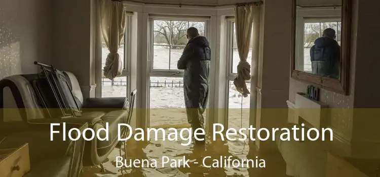 Flood Damage Restoration Buena Park - California