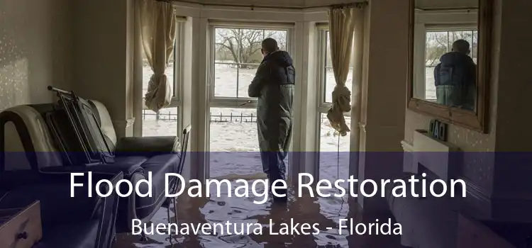 Flood Damage Restoration Buenaventura Lakes - Florida