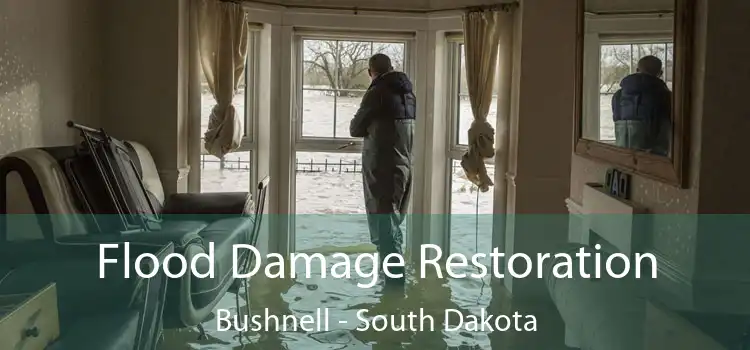 Flood Damage Restoration Bushnell - South Dakota