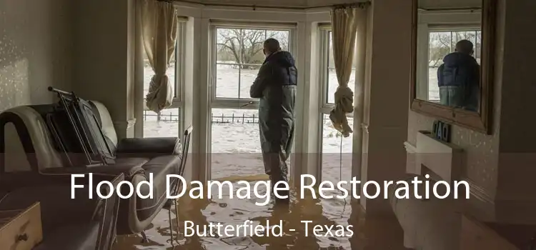Flood Damage Restoration Butterfield - Texas