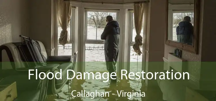 Flood Damage Restoration Callaghan - Virginia