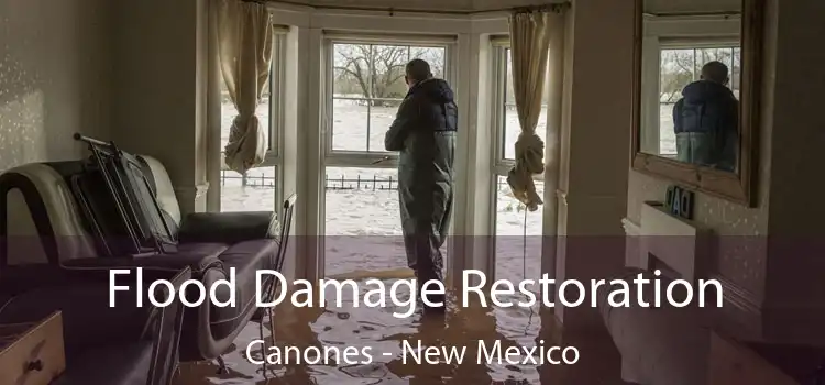 Flood Damage Restoration Canones - New Mexico