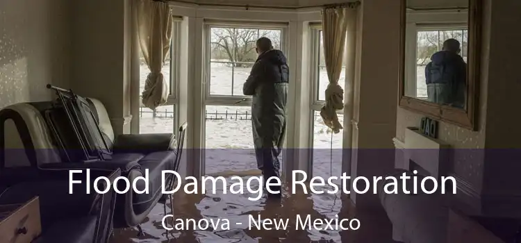 Flood Damage Restoration Canova - New Mexico