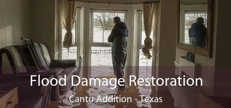 Flood Damage Restoration Cantu Addition - Texas