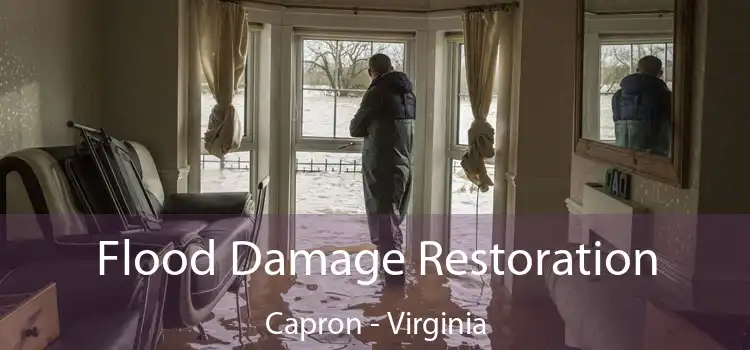 Flood Damage Restoration Capron - Virginia