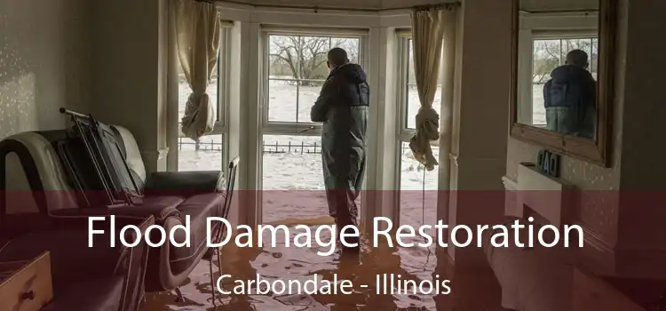 Flood Damage Restoration Carbondale - Illinois