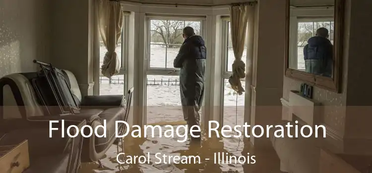 Flood Damage Restoration Carol Stream - Illinois