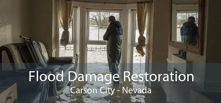 Flood Damage Restoration Carson City - Nevada