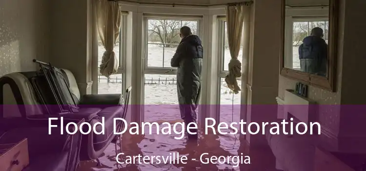 Flood Damage Restoration Cartersville - Georgia