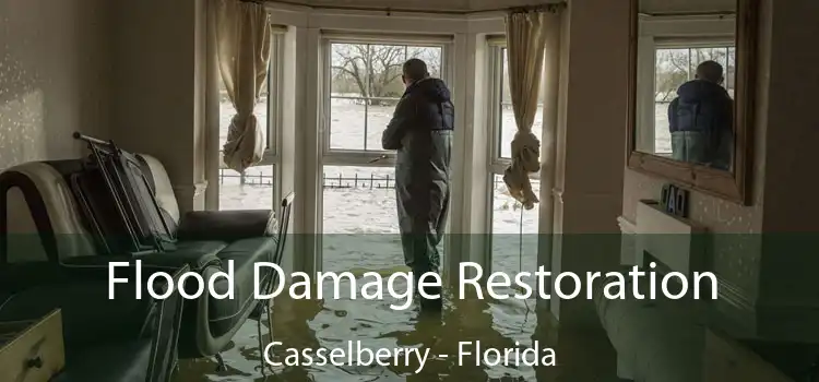 Flood Damage Restoration Casselberry - Florida