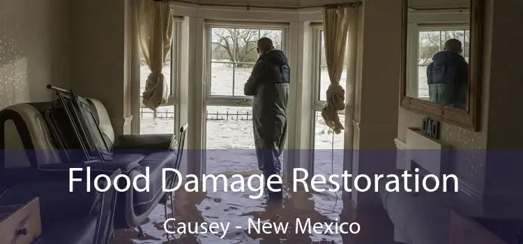 Flood Damage Restoration Causey - New Mexico