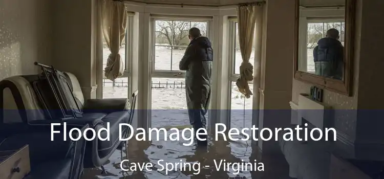 Flood Damage Restoration Cave Spring - Virginia