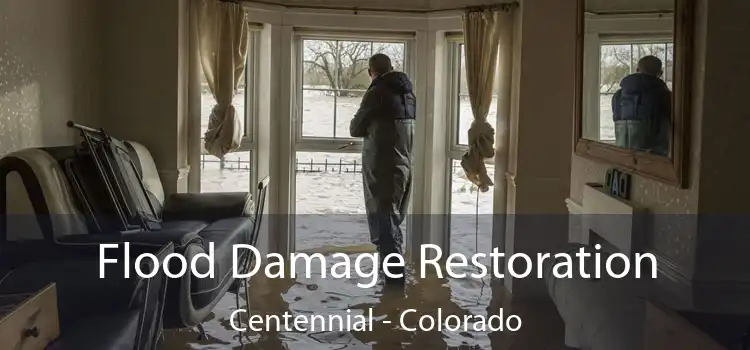 Flood Damage Restoration Centennial - Colorado