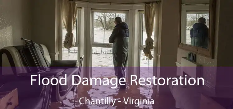 Flood Damage Restoration Chantilly - Virginia