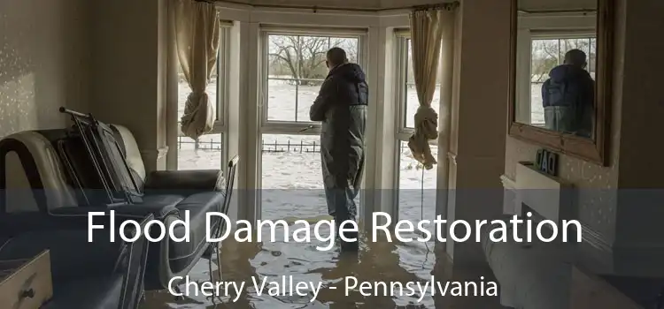 Flood Damage Restoration Cherry Valley - Pennsylvania