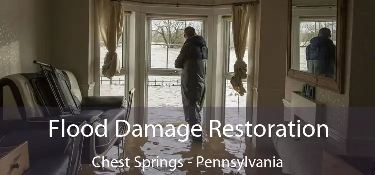 Flood Damage Restoration Chest Springs - Pennsylvania