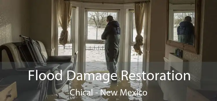 Flood Damage Restoration Chical - New Mexico