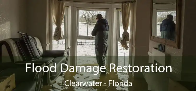 Flood Damage Restoration Clearwater - Florida