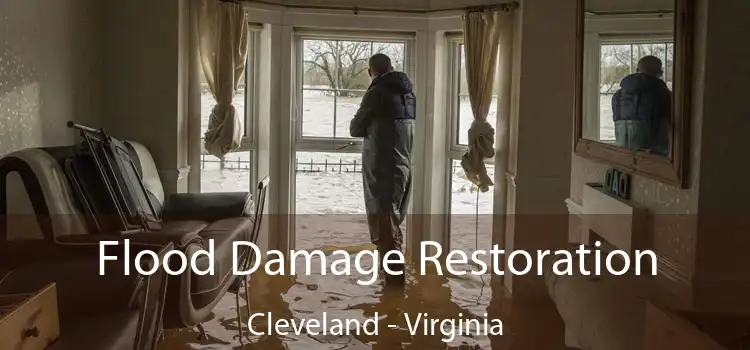 Flood Damage Restoration Cleveland - Virginia