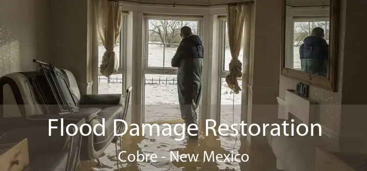 Flood Damage Restoration Cobre - New Mexico