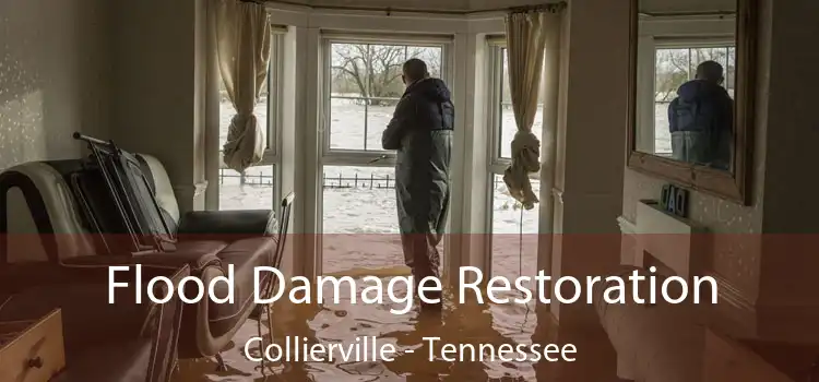 Flood Damage Restoration Collierville - Tennessee