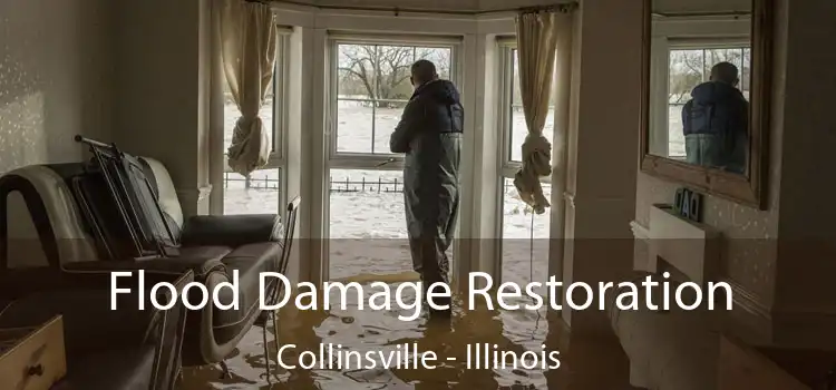 Flood Damage Restoration Collinsville - Illinois