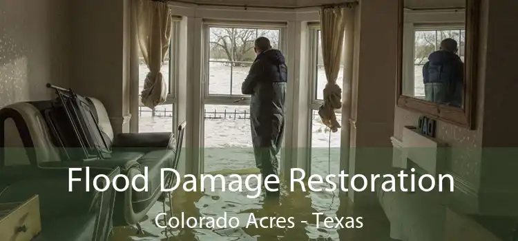 Flood Damage Restoration Colorado Acres - Texas