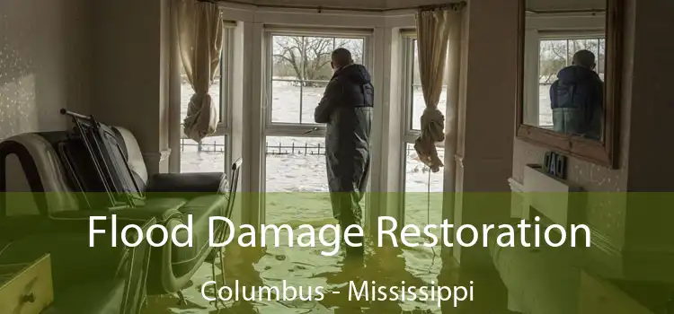 Flood Damage Restoration Columbus - Mississippi