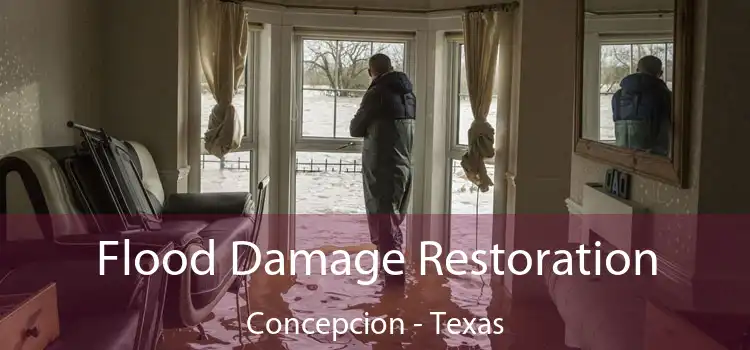 Flood Damage Restoration Concepcion - Texas