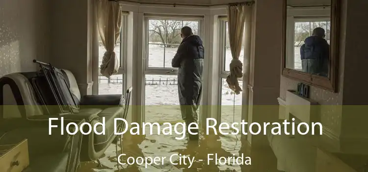Flood Damage Restoration Cooper City - Florida