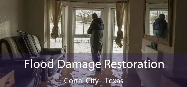 Flood Damage Restoration Corral City - Texas