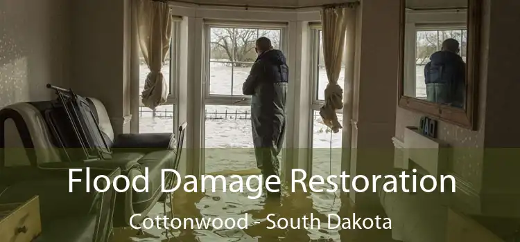 Flood Damage Restoration Cottonwood - South Dakota