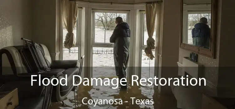 Flood Damage Restoration Coyanosa - Texas