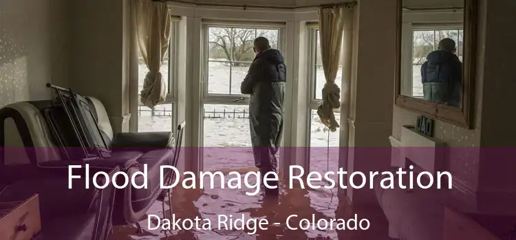 Flood Damage Restoration Dakota Ridge - Colorado