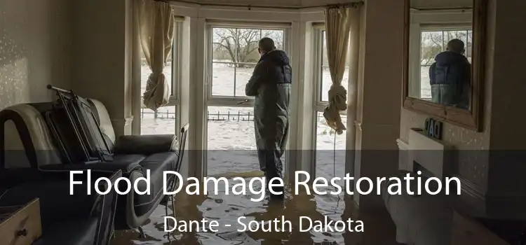 Flood Damage Restoration Dante - South Dakota