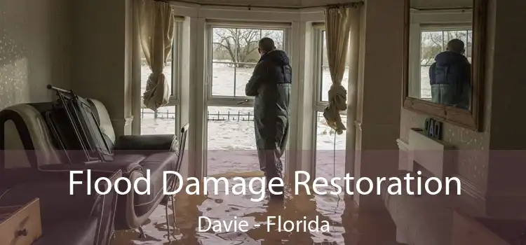 Flood Damage Restoration Davie - Florida