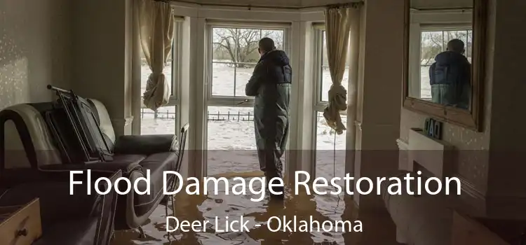 Flood Damage Restoration Deer Lick - Oklahoma