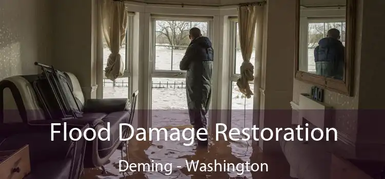 Flood Damage Restoration Deming - Washington