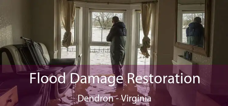 Flood Damage Restoration Dendron - Virginia