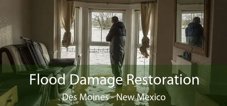 Flood Damage Restoration Des Moines - New Mexico