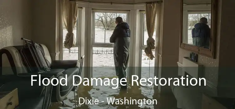 Flood Damage Restoration Dixie - Washington